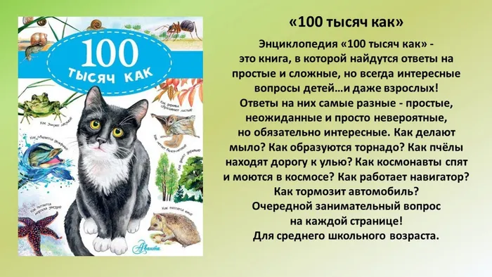 Слайд9