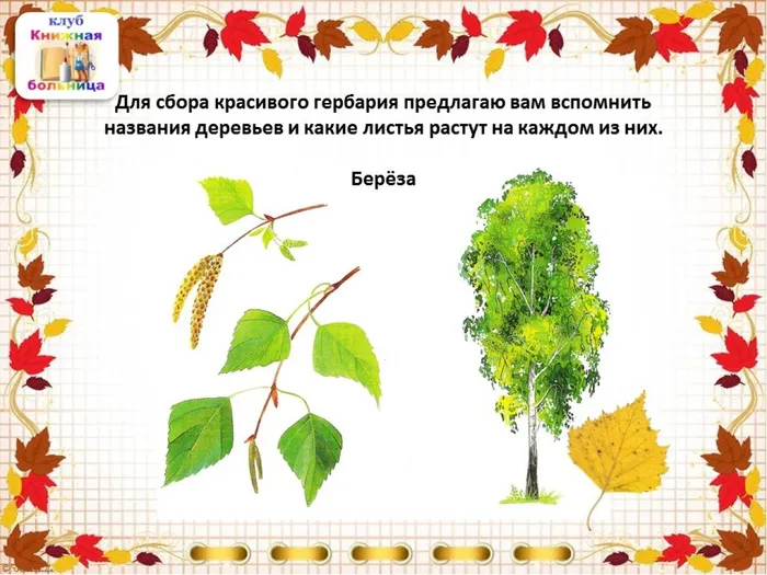 Слайд6