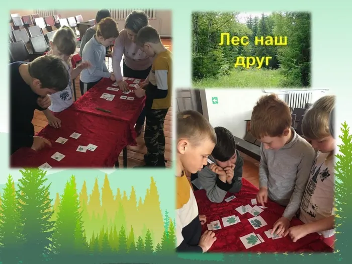 познавательная программа "День леса"