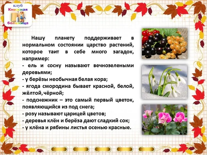 Слайд4