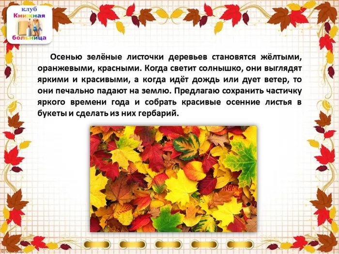 Слайд12