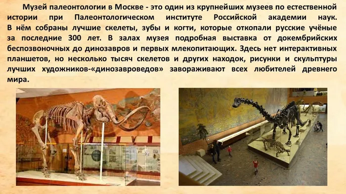 Слайд8
