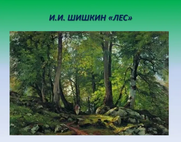 Слайд6